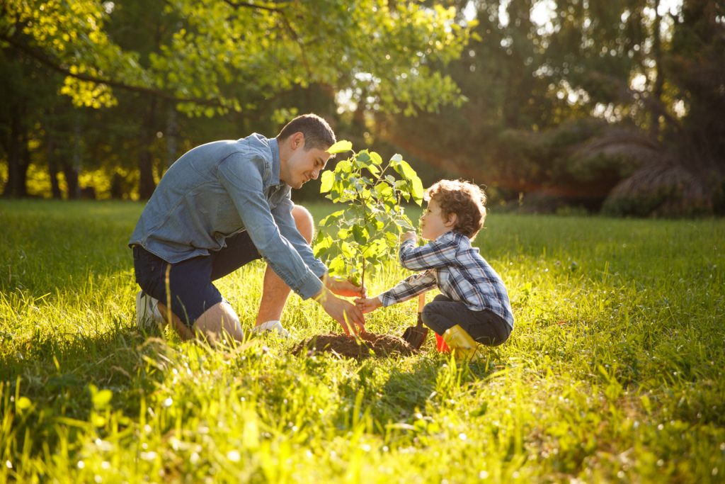 planting seeds