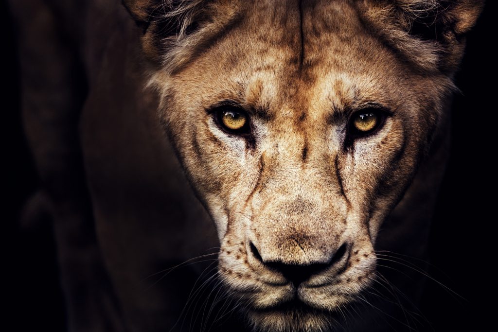 fear