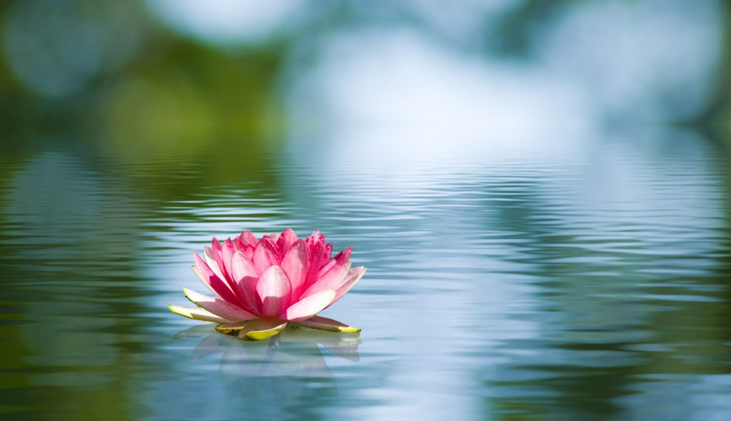 prosperity affirmation